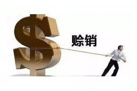 楚雄遇到恶意拖欠？专业追讨公司帮您解决烦恼